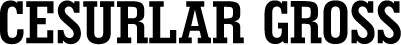 Cesurlar Gross Toptan & Perakende Satış